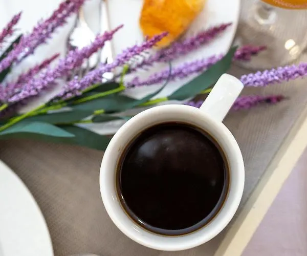 M & S - 4 Bedroom With Heated Pool 帕斯蒂达