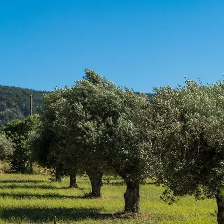 M & S - 4 Bedroom With Heated Pool * Pastida