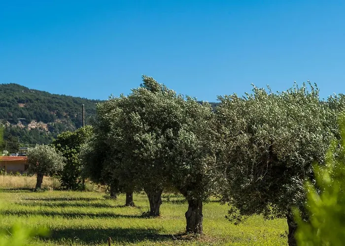 M & S - 4 Bedroom With Heated Pool * Pastida